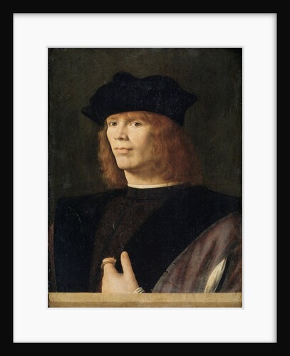 Portrait of a young man, probably merchant by Andrea Solario