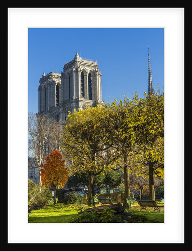 View of the Cathedrale (cathedral) de Notre Dame from Place (square) RenaÂ© Viviani in autumn by Anonymous