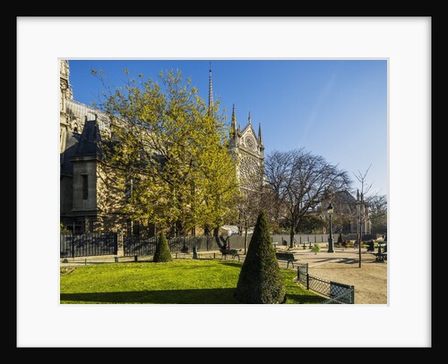 La Cite, small garden near the Cathedrale (cathedral) de Notre Dame by Anonymous