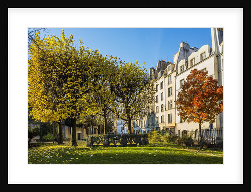 The garden of Place Rene Viviani in autumn by Anonymous