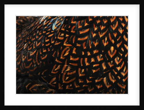 Doubled Laced feather pattern by Anonymous