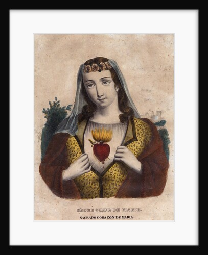 the Immaculate Heart of Mary by Anonymous