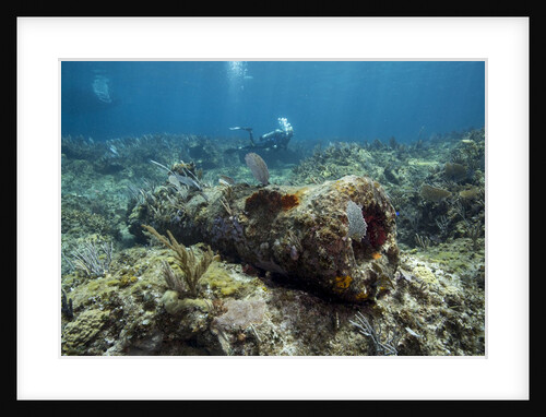 Diver peruses 10,000 pound Cannon. by Anonymous