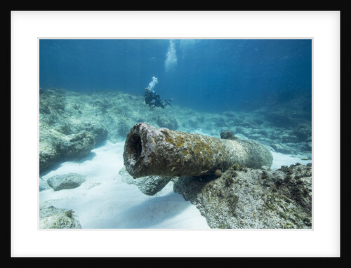 Diver peruses 10,000 pound Cannon. by Anonymous