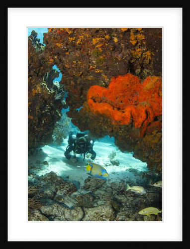 Technical diver on coral reef. by Anonymous