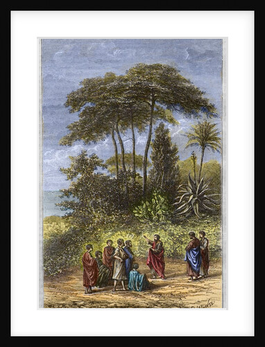 The School of Pythagoras at Croton by Anonymous