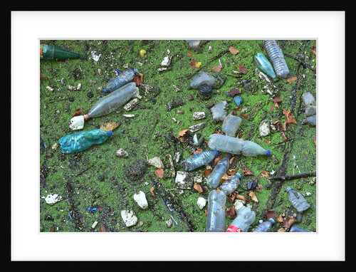 Garbage in river by Anonymous