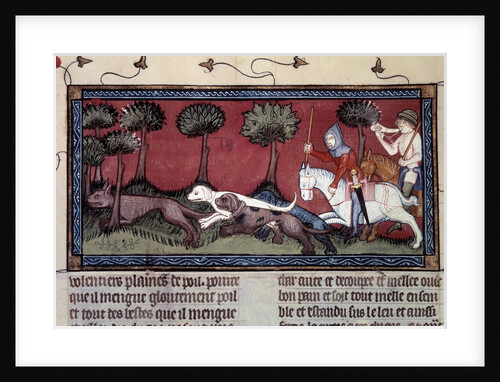 Fox hunting, 14th century by Anonymous