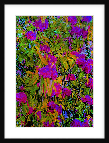 Pink Flowers by Anonymous