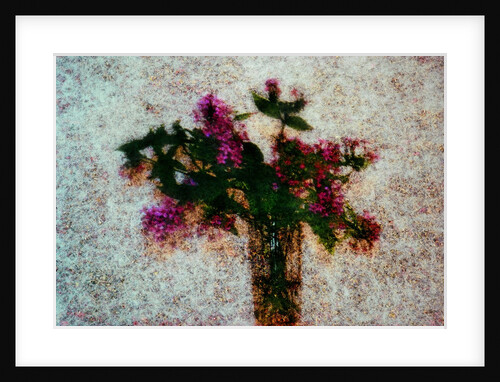 Flower Pot by Anonymous