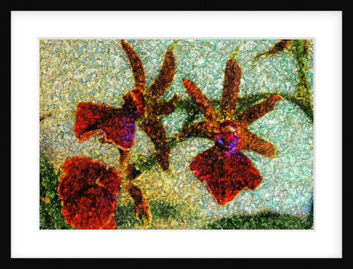 Orchids by Anonymous