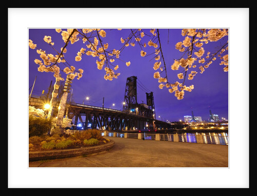 cherry blossoms and water front park, Steel ridge, Willamette River, Portland Oregon by Anonymous