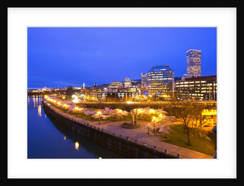 night image of cherry blossoms and water front park, Willamette River, Portland Oregon by Anonymous