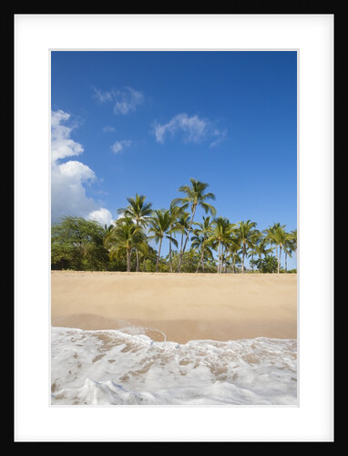 Hulopo'e Beach by Anonymous