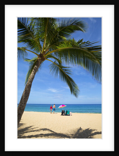 Vacationing couple snorkeling at Hulupo'e Beach; Manele Bay; Lanai; Hawaii by Anonymous