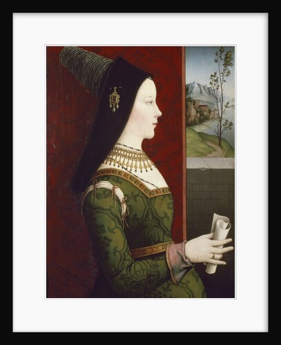 Portrait of Mary Duchess of Burgundy by Nicolas Reiser