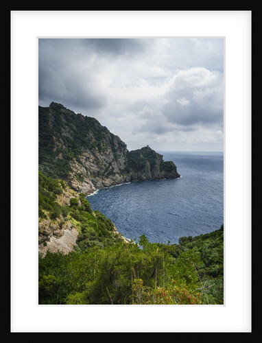 The trail from San Rocco to San Fruttuoso by Anonymous