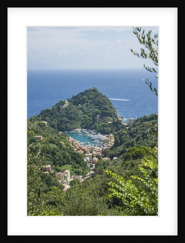 View of Portofino by Anonymous