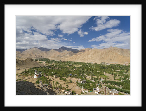 View of the town from the Palace by Anonymous