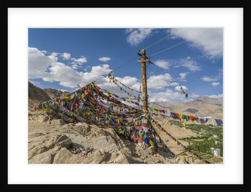 Shanti Stupa by Anonymous