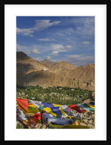 Panoramic view of the town from Shanti Stupa by Anonymous