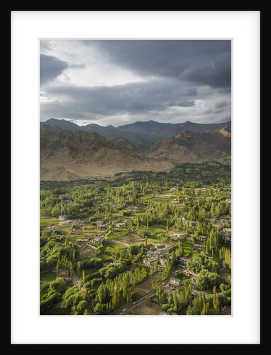 View of the town from the Monastery of the Palace by Anonymous