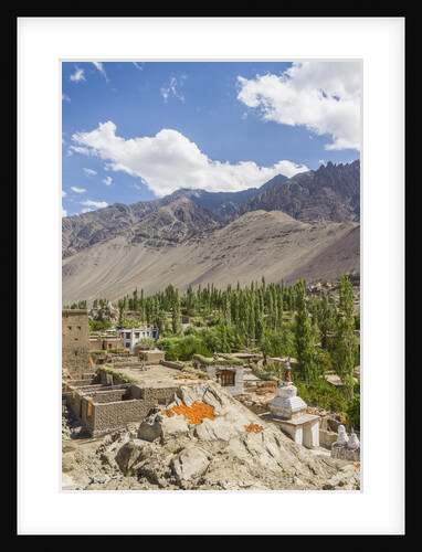 Drying apricots at Alchi village by Anonymous