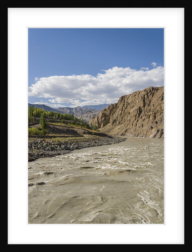 Alchi by Anonymous