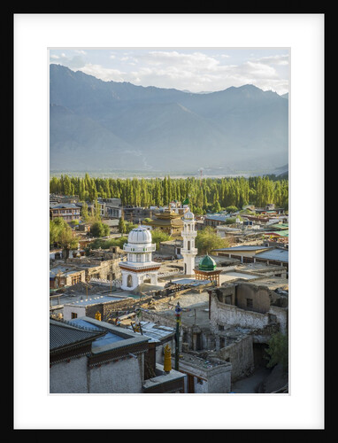 View of the town from the Palace by Anonymous