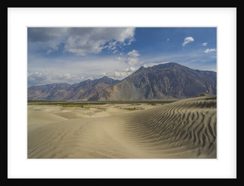 Sand dunes along Shyok Valley by Anonymous