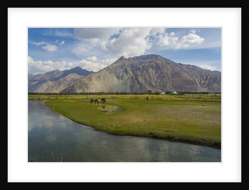 Sand dunes along Shyok Valley by Anonymous