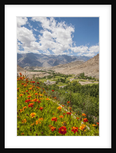 View from Likir Monastery by Anonymous