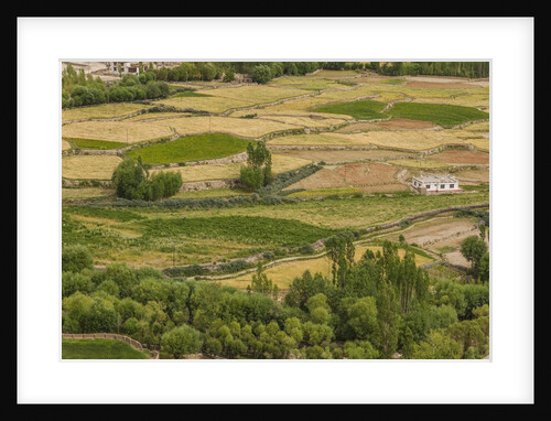 Chemde Monastery, near Karu, corn field around monastery by Anonymous