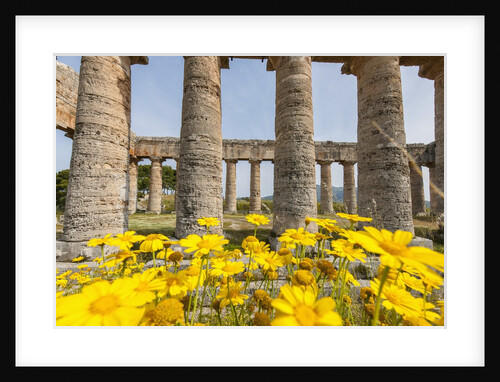 Segesta, the temple by Anonymous