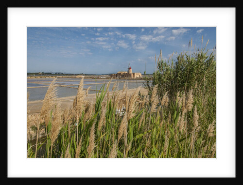 Ettore e Infersa Salt works area by Anonymous