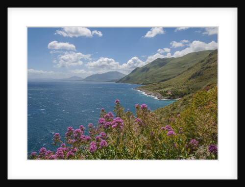 Lo Zingaro Natural Reserve by Anonymous