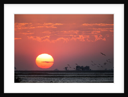 Sunrise, Chobe National Park, Botswana by Anonymous