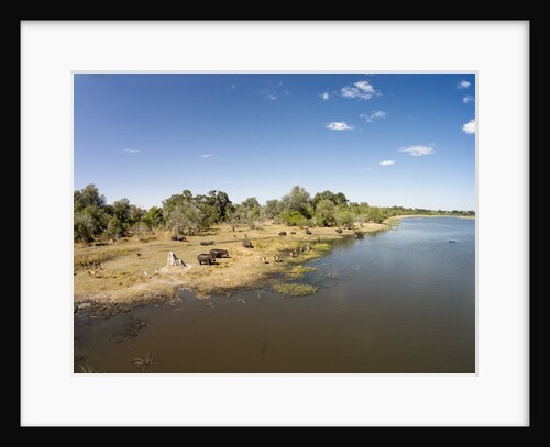 Aerial View of Hippo Pond, Moremi Game Reserve, Botswana by Anonymous