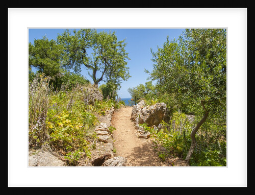 Lo Zingaro Natural Reserve by Anonymous
