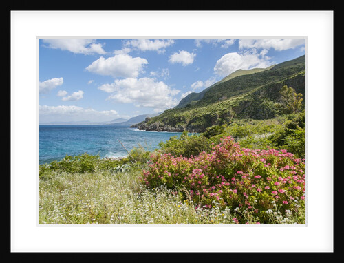 Lo Zingaro Natural Reserve by Anonymous