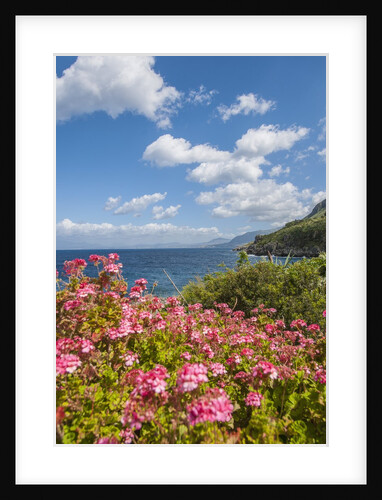 Lo Zingaro Natural Reserve by Anonymous