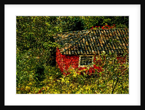 Red House by Anonymous