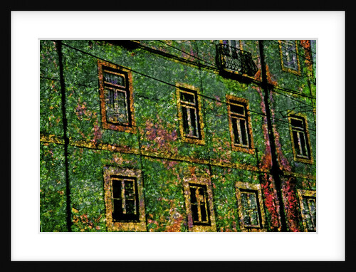 Green by Anonymous
