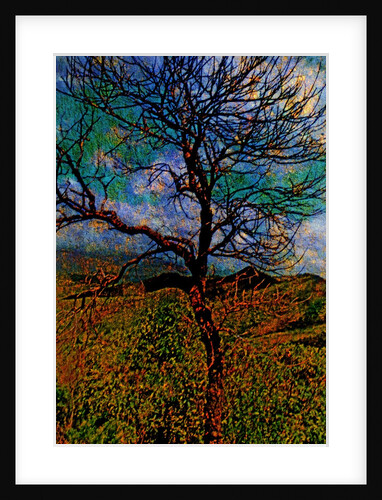 Tree by Anonymous