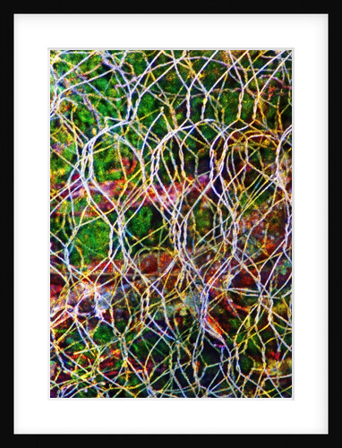 Wire Grid by Anonymous