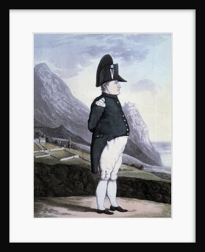 Portrait of Napoleon I on the island of St Helena, 1815 by Anonymous