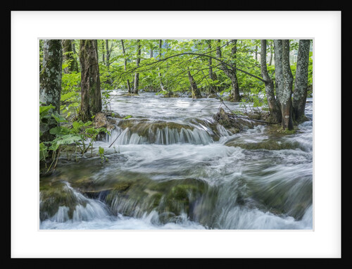 Mountain Stream by Anonymous