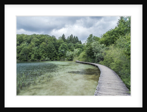 Boardwalk by Anonymous