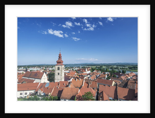 Ptuj Old Town by Anonymous