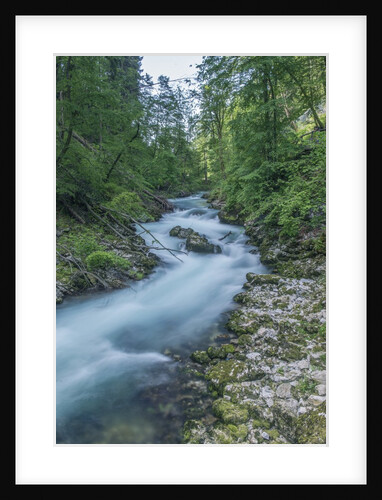 Vintgar Gorge by Anonymous